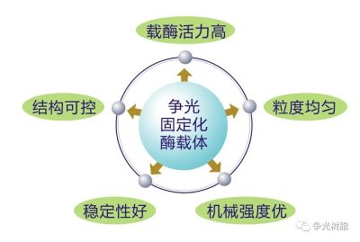 z6mg人生就是博固定化酶载体Zhengguang immobilized enzyme carrier
