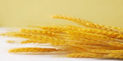 z6mg人生就是博小讲堂——淀粉糖精制知识