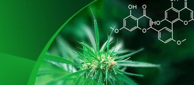 z6mg人生就是博植物提取精制、去除农残专用树脂的应用小秘诀